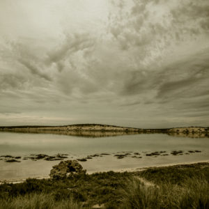 Campsite - Shark Bay, WA