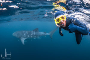 Willy and Whale Shark - Ingaloo, WA