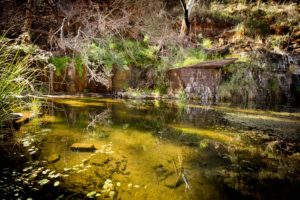 Dales Gorge - The Pilbara - WA