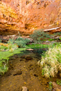Weano Gorge - The Pilbara - WA