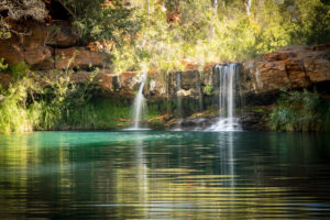 Fern Pool - The Pilbara - WA