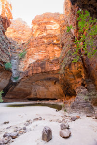 Cathederal Gorge, Purnululu National Park WA